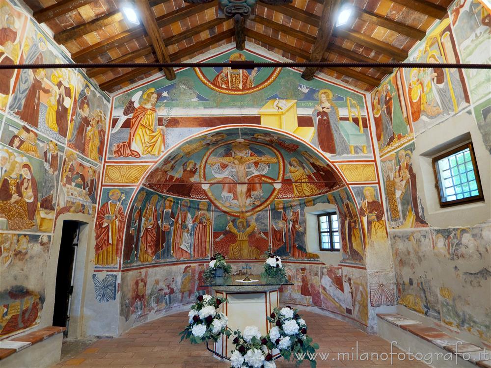 Momo (Novara, Italy) - Apse and first span of the nave of the Oratory of the Holy Trinity